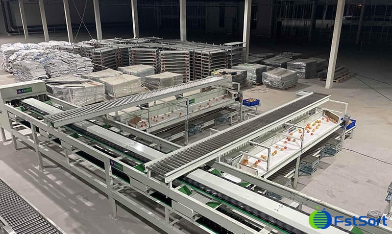 fruit packing machine.jpg fruit packing machine.jpg